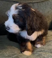 processed/914aad02-8808-4afd-845b-db048460db16/listing/c57266db-4a46-40df-8b83-741c6799422c/9c0e97af-460f-4700-8050-3affdb0047a0