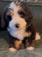 processed/914aad02-8808-4afd-845b-db048460db16/listing/c57266db-4a46-40df-8b83-741c6799422c/f163b5ab-4395-4b5c-9218-8afb89af3057