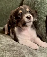 processed/914aad02-8808-4afd-845b-db048460db16/listing/e34c20c5-d1b3-4af6-9e06-f6f2fa0f1126/3430d26d-bb6f-433d-a6ce-50ebf8110549