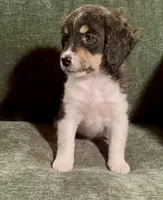 processed/914aad02-8808-4afd-845b-db048460db16/listing/e34c20c5-d1b3-4af6-9e06-f6f2fa0f1126/5e74155c-b24f-4c7b-8b68-582fc6faacea