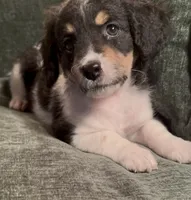 processed/914aad02-8808-4afd-845b-db048460db16/listing/e34c20c5-d1b3-4af6-9e06-f6f2fa0f1126/633d70d1-753b-4f5f-b821-412e9b32c00e