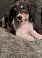 processed/914aad02-8808-4afd-845b-db048460db16/listing/e34c20c5-d1b3-4af6-9e06-f6f2fa0f1126/6ffaf041-8d68-47cb-a51f-2550c544baad