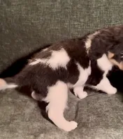 processed/914aad02-8808-4afd-845b-db048460db16/listing/e34c20c5-d1b3-4af6-9e06-f6f2fa0f1126/eda9c2ad-7eb8-4945-b060-e1519e5627db