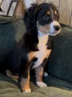 processed/914aad02-8808-4afd-845b-db048460db16/listing/e576eb08-6e9a-4615-85d8-e7ab605fec87/60cfaf00-d2db-4b83-bbf7-e62e8759a9c9