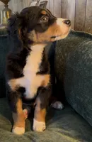 processed/914aad02-8808-4afd-845b-db048460db16/listing/e576eb08-6e9a-4615-85d8-e7ab605fec87/c7b04d19-aade-4ed6-ade3-d77a1db80767