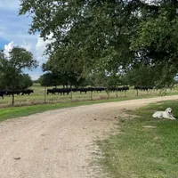 processed/9152a116-85bc-43f0-99b5-a22bb11df898/facility/9a856c4a-df0d-4cbe-8a09-6432576d5a33