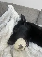 processed/91584af0-097f-4cab-8c3e-e24356285c09/facility/39ee28a0-1c34-41dd-b0b3-6b28203969d4