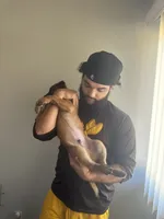 processed/91584af0-097f-4cab-8c3e-e24356285c09/facility/7a90e82b-71e8-4b48-b731-5eeadc57fec1