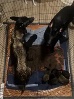 processed/91584af0-097f-4cab-8c3e-e24356285c09/facility/f6ca7476-dfba-4d36-95e1-fbae8abcb755