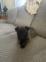 processed/91584af0-097f-4cab-8c3e-e24356285c09/listing/e2b0cae5-4bdd-4e2c-94d4-a6f26060b322/ca4743d6-afa7-4280-a04f-cdd8b0d03894