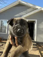 processed/91584af0-097f-4cab-8c3e-e24356285c09/listing/e2b0cae5-4bdd-4e2c-94d4-a6f26060b322/e918b812-560b-4c0a-956f-7b501ab4eb50