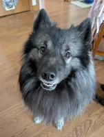 processed/9158a428-4637-4617-ab71-dbf1161343b3/listing/034934d5-3a33-46af-b111-ca20688c1f7e/01467103-cbf1-4d3d-a633-b3ad3c49436b