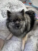 processed/9158a428-4637-4617-ab71-dbf1161343b3/listing/034934d5-3a33-46af-b111-ca20688c1f7e/865166db-6c09-470b-9977-90cb48a1b7a9