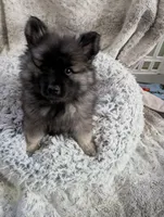 processed/9158a428-4637-4617-ab71-dbf1161343b3/listing/034934d5-3a33-46af-b111-ca20688c1f7e/9f87e5f5-cd7d-4fc7-a3bd-b06c182e2302