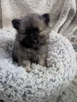 processed/9158a428-4637-4617-ab71-dbf1161343b3/listing/24c499d9-02c6-40ec-9f93-f687ac88d386/59dd6668-3a48-4f4c-b257-e81ac3eb67e3