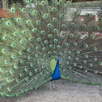 processed/915c44f4-9c8e-4149-9313-b2e5d3a06655/facility/0a47cd37-0d7f-476a-9c0f-da46cdd86bcb