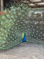 processed/915c44f4-9c8e-4149-9313-b2e5d3a06655/facility/0a47cd37-0d7f-476a-9c0f-da46cdd86bcb