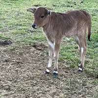 processed/915c44f4-9c8e-4149-9313-b2e5d3a06655/facility/4ae21d54-edca-4207-b6db-a2bb38aa9ef0