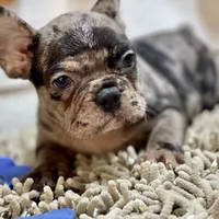 processed/915c44f4-9c8e-4149-9313-b2e5d3a06655/facility/59c7550f-a78a-463d-8054-13e22147591c