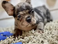 processed/915c44f4-9c8e-4149-9313-b2e5d3a06655/facility/59c7550f-a78a-463d-8054-13e22147591c