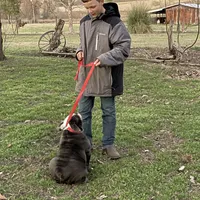 processed/915c44f4-9c8e-4149-9313-b2e5d3a06655/facility/a615ab76-300d-41c0-9d88-afda63fae653