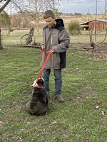 processed/915c44f4-9c8e-4149-9313-b2e5d3a06655/facility/a615ab76-300d-41c0-9d88-afda63fae653