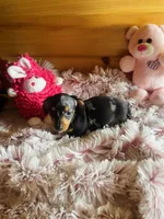 processed/91657095-7b0e-4c99-a294-78ecf444ad82/listing/409ec0aa-2cde-404c-ab37-9021ca221043/05d2877e-6481-4526-9a27-d812964f1d55