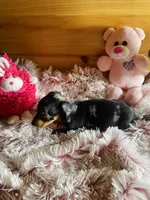 processed/91657095-7b0e-4c99-a294-78ecf444ad82/listing/409ec0aa-2cde-404c-ab37-9021ca221043/27ebaa44-d9fc-4677-bd0b-d51522f454b8