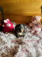 processed/91657095-7b0e-4c99-a294-78ecf444ad82/listing/409ec0aa-2cde-404c-ab37-9021ca221043/3264bd24-fe4d-4784-b3c9-0e24b0bb7dc1