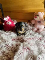 processed/91657095-7b0e-4c99-a294-78ecf444ad82/listing/409ec0aa-2cde-404c-ab37-9021ca221043/40fed529-a344-4dd9-999b-6bc0d2dd005a