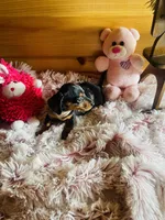 processed/91657095-7b0e-4c99-a294-78ecf444ad82/listing/409ec0aa-2cde-404c-ab37-9021ca221043/8ea245a6-df93-49b4-a2f0-bc65b309245c