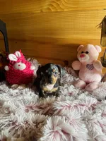 processed/91657095-7b0e-4c99-a294-78ecf444ad82/listing/409ec0aa-2cde-404c-ab37-9021ca221043/d338a049-36cd-4d9e-91b1-a1dce0214c98