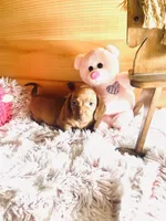 processed/91657095-7b0e-4c99-a294-78ecf444ad82/listing/596e8021-0f35-452e-9d27-53255c37cc00/525b4638-2dd1-49ae-a0a2-2ef498fa4d0f