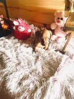 processed/91657095-7b0e-4c99-a294-78ecf444ad82/listing/596e8021-0f35-452e-9d27-53255c37cc00/5726f35d-a037-44ca-b4db-0be126121541