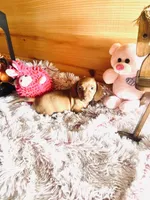 processed/91657095-7b0e-4c99-a294-78ecf444ad82/listing/596e8021-0f35-452e-9d27-53255c37cc00/5e9eebe4-141e-4963-b696-d28fc3d363ea