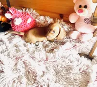 processed/91657095-7b0e-4c99-a294-78ecf444ad82/listing/596e8021-0f35-452e-9d27-53255c37cc00/785afb43-fdeb-4041-9b94-79b7d50d6a4c