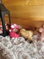 processed/91657095-7b0e-4c99-a294-78ecf444ad82/listing/596e8021-0f35-452e-9d27-53255c37cc00/b3808a25-08ee-4100-8109-fe1763a09603