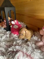 processed/91657095-7b0e-4c99-a294-78ecf444ad82/listing/596e8021-0f35-452e-9d27-53255c37cc00/bc2c5ba2-29ee-417f-8830-2967abae79dc