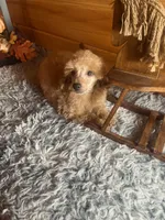 processed/91657095-7b0e-4c99-a294-78ecf444ad82/listing/a6809e72-5d8d-42e3-8b6e-e47d054b1c19/1efcc29e-3b86-4067-bb4b-0c0d7d903396