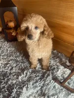 processed/91657095-7b0e-4c99-a294-78ecf444ad82/listing/a6809e72-5d8d-42e3-8b6e-e47d054b1c19/4f3942c2-37f2-4c1c-a68a-cfd96ec19140