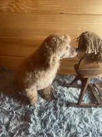 processed/91657095-7b0e-4c99-a294-78ecf444ad82/listing/a6809e72-5d8d-42e3-8b6e-e47d054b1c19/821173ec-79cf-4ef9-b1be-da3105260b92