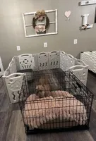 processed/9169dd8a-34ad-4459-a80a-a265654965e7/facility/2dc29390-760d-4b56-ba31-300b0859da39