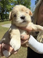 processed/916e6527-7b2f-437b-a8d8-7f4ddbc93893/facility/55319974-f455-40f6-9cea-6c32fd65dfdd