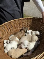 processed/916e6527-7b2f-437b-a8d8-7f4ddbc93893/facility/c688bb5b-e940-4bbe-bc6f-87a988a62a28