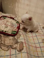 processed/916f101a-3994-4d57-b26a-a5d9e2d31290/listing/760a55c3-f0b2-47a3-862e-b92dcbd6ffff/0af387d0-f5c1-4691-8eda-e207935f55ca