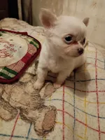 processed/916f101a-3994-4d57-b26a-a5d9e2d31290/listing/760a55c3-f0b2-47a3-862e-b92dcbd6ffff/a22a1bba-ff1e-48d2-a752-eb3d6494afda