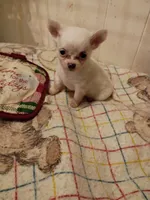 processed/916f101a-3994-4d57-b26a-a5d9e2d31290/listing/760a55c3-f0b2-47a3-862e-b92dcbd6ffff/f198efc9-b74e-4f29-829e-d14bfce1eb8d