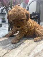 processed/91772236-e4eb-4f57-b0b0-2cced151a6ba/listing/0d7e759a-f7bd-406c-aca4-fd8ef50ed49f/9558724c-d9fc-40fb-a804-17d33730a9f2