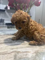 processed/91772236-e4eb-4f57-b0b0-2cced151a6ba/listing/0d7e759a-f7bd-406c-aca4-fd8ef50ed49f/abb26581-768e-439d-ae10-6aa9541e997c