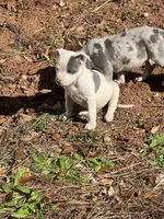 processed/91772236-e4eb-4f57-b0b0-2cced151a6ba/listing/37a9b522-bc40-471f-b1e1-b2140b639e92/87183283-d6ea-4720-a238-dfcf7decbecf